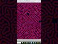 This Algorithm Creates Animal Skin Patterns | JavaFX #shorts