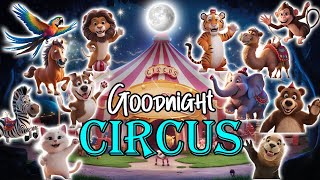 Goodnight Circus The Ultimate Calming Bedtime Stories For Babies Relaxing Music And Sounds