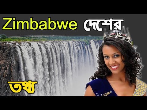 ভিডিও: কত ঘন ঘন দক্ষিণ পশ্চিম বিক্রি আছে?