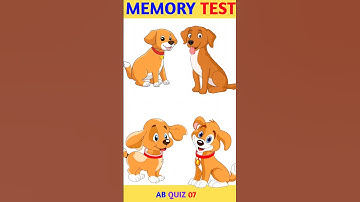 MEMORY TEST||RIDDLES|PUZZLES #memorytest #riddles #puzzle