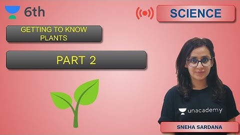 Getting to Know Plants | Part - 2 | Unacademy Class 6 | Sneha Sardana