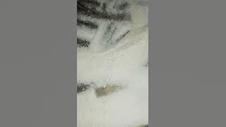 karafuu maiti (camphor ) ni tiba ya mambo mengi 255763220257 (255653868559