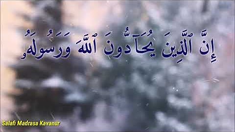 سورة المجادلة (آية ٥,٦)