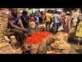 THE CHEAPEST & BIGGEST PEPPER MARKET IN IBADAN NIGERIA ! SASA MARKET