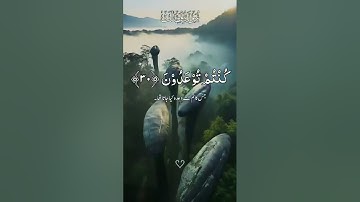 تلاوة عطرة من ذكر الله الحكيم قرآن #قرآن_کریم #اكسبلور