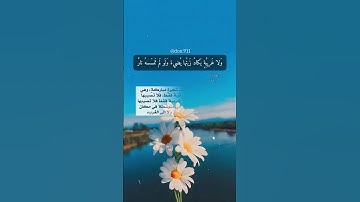 الله نور السموات والأرض🥺❤️ سورة النور أحمد خضر حالات واتس #قرآن_كريم