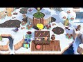 Animal Crossind NH Jan 2026 Just waiting for update