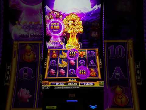 Spinbara Online Casino | Play Casino Online in English at Canada's Premier Gaming Site