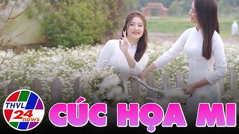 Vẻ đẹp của cúc họa mi đầu mùa