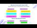 Українська мова 11 клас. Складнопідрядні обставинні речення та дієприслівникові звороти