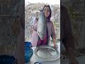 Cooking Fish 🐟