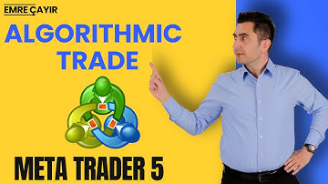 The Art of Automation: Build Your Trading Bot with MQL5 and MetaTrader 5