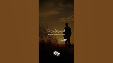ما تيسر من سورة المؤمنون | بصوت القارئ اسلام صبحي
