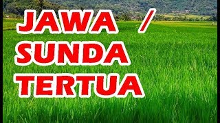 Sunda Atau Jawa Yang Tertua Di Dunia