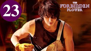 Subtitle Bahasa Inggris | Bunga Terlarang | Episode 23 | 夏花 | Jerry Yan, Xu Ruohan