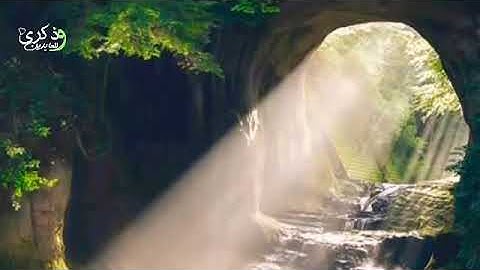 🌹تلاوة عطرة بصوت جميل🌾القارئ عبدالرحمن مسعد🌴اللهم اجعل القران العظيم ربيع قلوبنا ونور صدورنا🌿❤