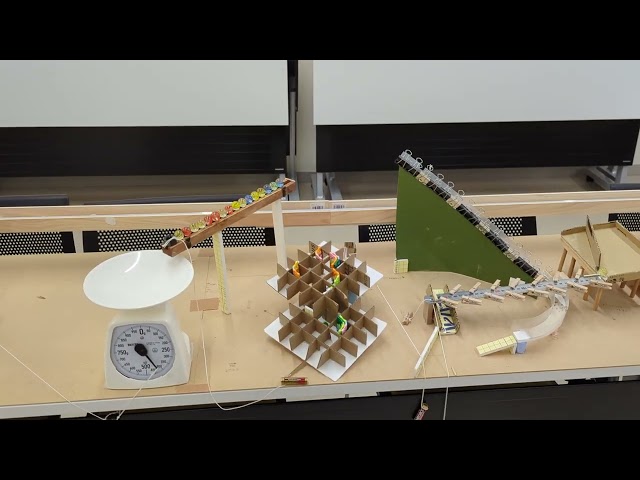 藤陵祭|京都教育大学