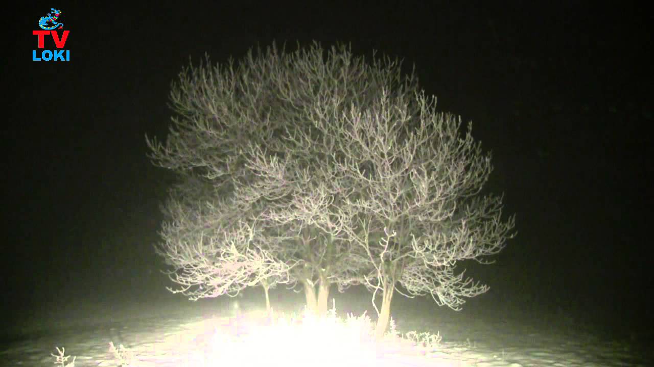 Špilnik kod Otočca -20, 12.12.2012.