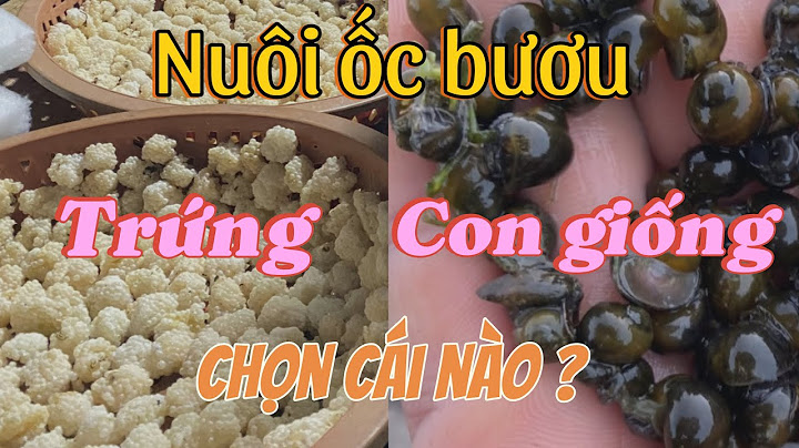 Làm sao để biết chân mình size bao nhiêu