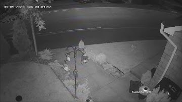 diy bird feeder baffle works for rats