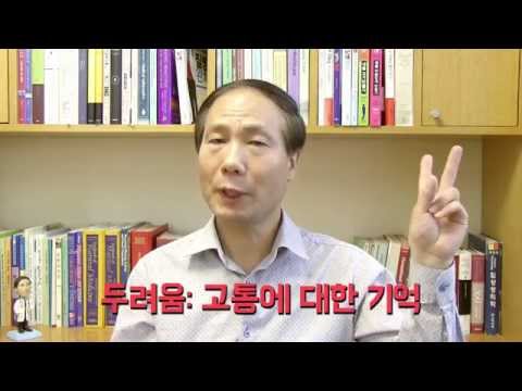 비행기공포증 완치훈련 Aerophobia CureTraining