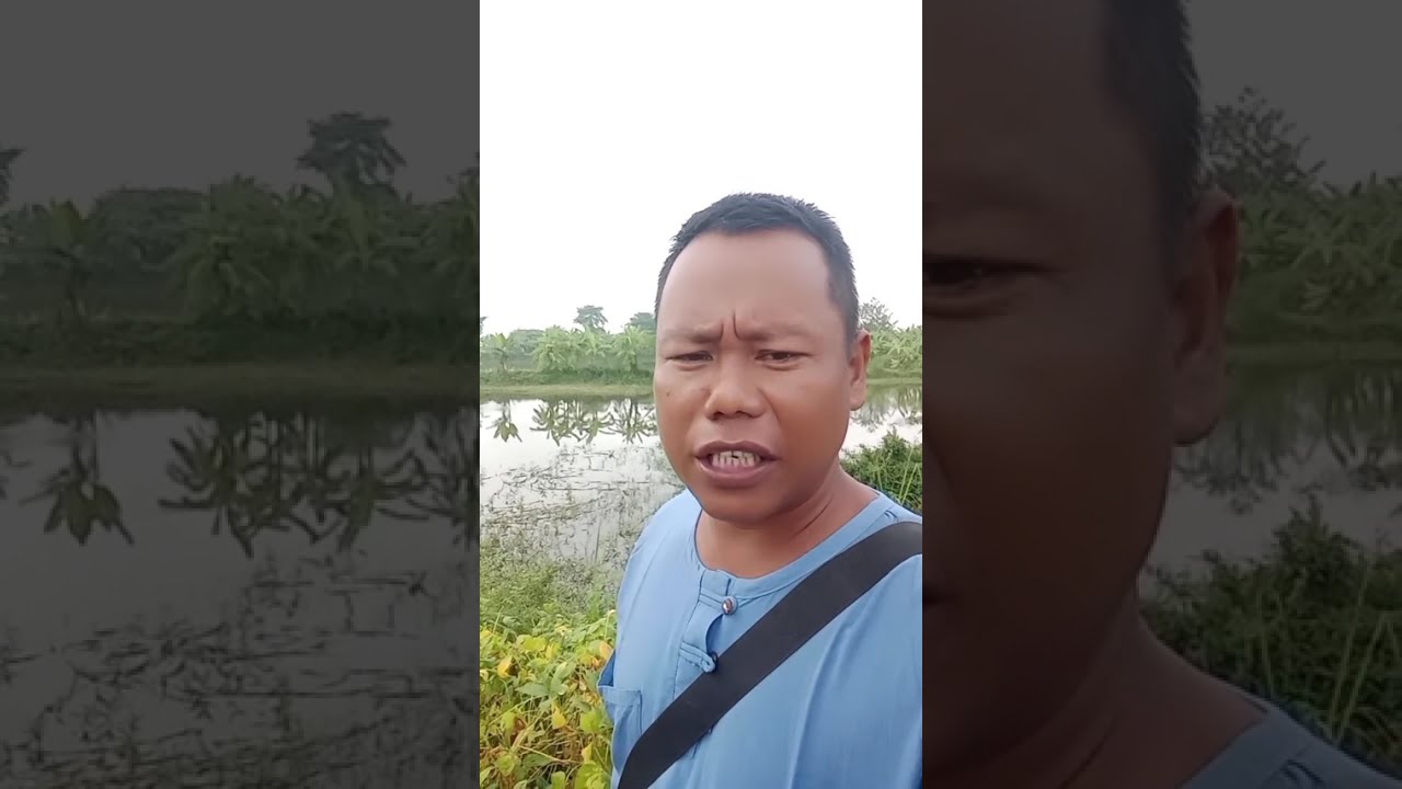 ပိုလာဝက်ဝံက ေပးတဲ့သင်ခန်းစာ