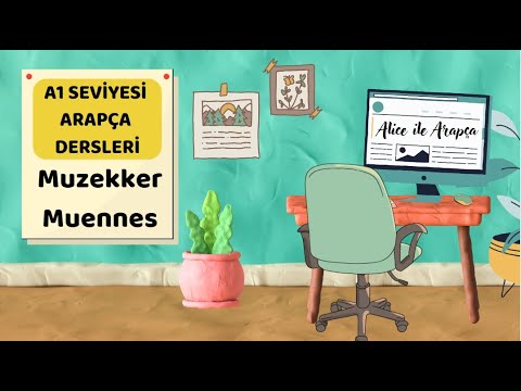 ARAPÇA DERSLERİ- MUZEKKER ve MUENNES