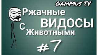 РЖАЧНЫЕ КОТЫ . ОЧЕНЬ СМЕШНЫЕ ПРИКОЛЫ . ДОБРЫЙ ПОСТУПОК . ЗАБАВНЫЕ ЖИВОТНЫЕ . ПРИКОЛЫ 2020.  PART #7