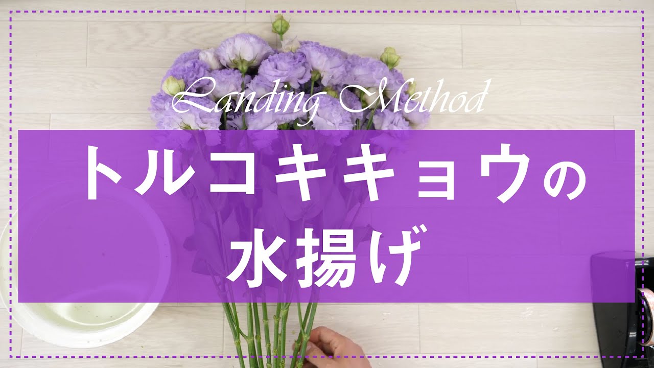 花のケアを大切に それぞれの花に適した水揚げ方法をご紹介 花と笑顔を暮らしのそばに はなのわ