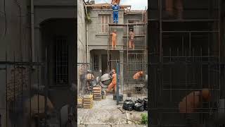 NINGUÉM ESPERAVA ESSE RESULTADO DENTRO DESSA CASA! 🔥
