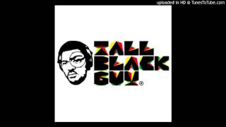 Video thumbnail of "Tall Black Guy - Funky Drummers In A Space Suit (Slap & Blap Edit)"