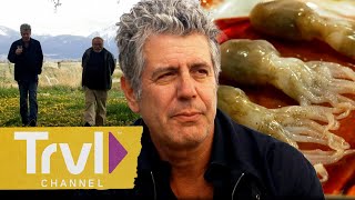 Anthony’s FAVORITE Episodes of All Time | Anthony Bourdain: No Reservations | Travel Channel