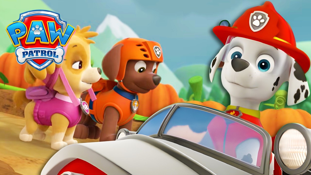 Ein Wettlauf gegen die Zeit! ⏰- PAW Patrol Germany - Cartoons für Kinder