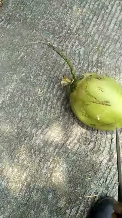 GOLOK NANCAP DIKELAPA