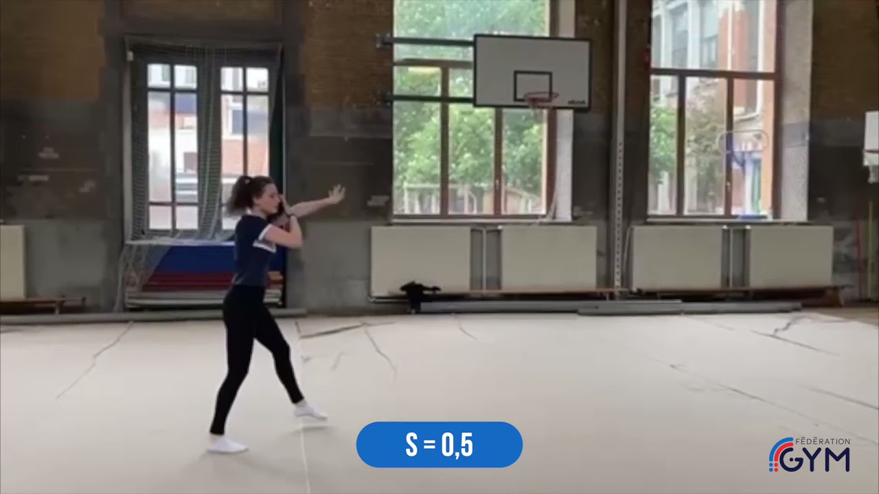 GR - Chorégraphie de référence Niveau D 13 14 ans ballon