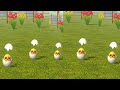 Yellow Chick Squad 🐥🐥🐥 | El Pollito Pio 3D &amp; Toro Vs Tractor Show