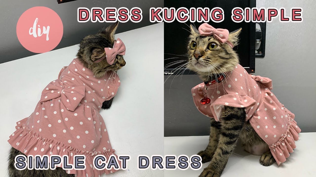 DIY BAJU KUCING SIMPEL DAN MUDAH MODEL REMPEL #DRESSKUCING #BAJUKUCING