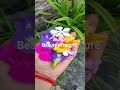 beauty of nature #beautifulnature beautyful flowers #greenery #savetheplanet #flowers #