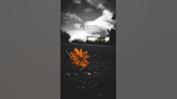 كروما قرآن كريم تلاوة من سورة فاطر القارئ يوسف العيدروس