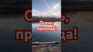 #рыба #рыбалка #рыбак #прикол #природа #красота #россия #оренбург #шортс #шортсы #еда #реки #река