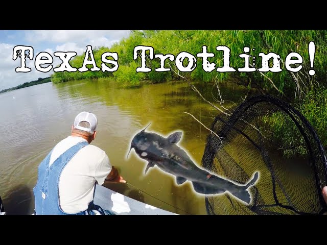 TrotLining for Big Catfish! + What Are The Laws? 