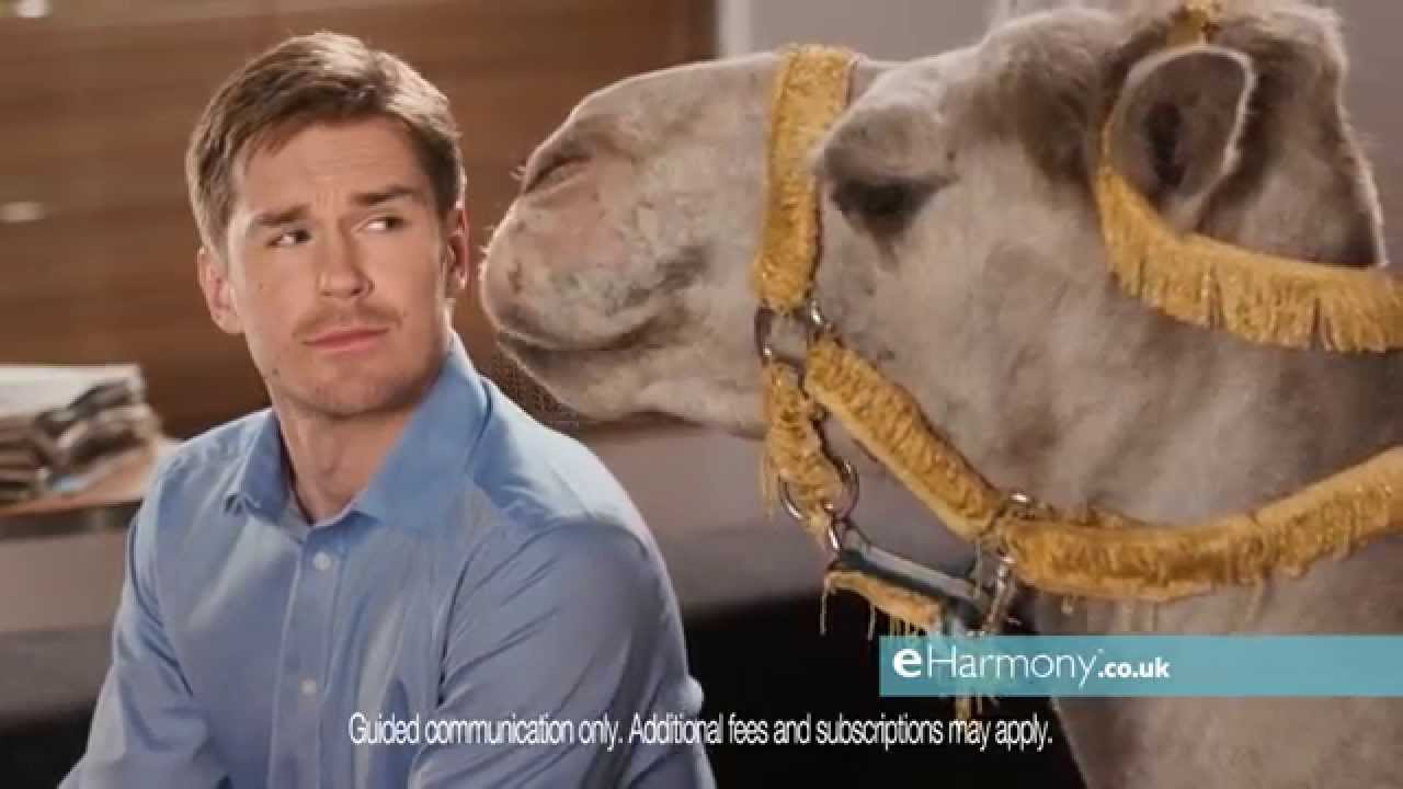 camel dating advert