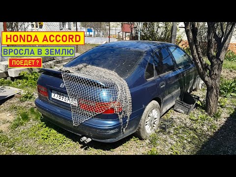 Video: Kā atiestatīt 1998. gada Honda Accord apkopes nepieciešamo gaismu?