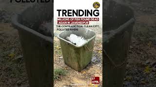 MILLIONS of fish dead. Again. In Jamshedpur.The same city that wins 'Cleanest City' awards