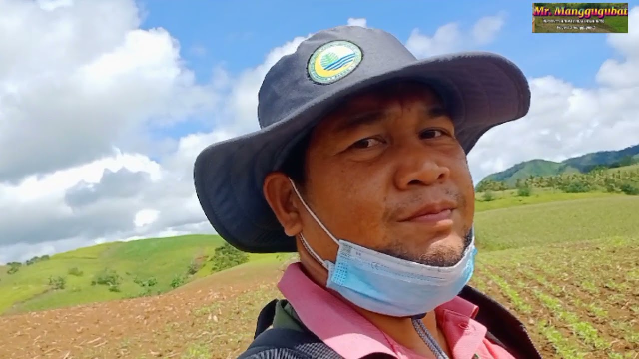 Progress Monitoring of Kayod Ka Bangsamoro, FS Convergence Project loc.at Mun. of UPI, Maguindanao.