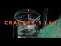 🔮 Cracker&#39;s lab - 박테리아 슬라임 만들기 How to make bacteria slime | experiment