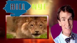 Bill Nye the Science Guy  0313 Mammals