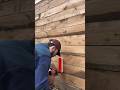 Smartest $5 farm hack! 🤯🐐
