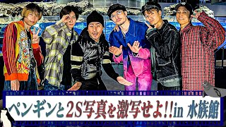 SixTONES【水族館で２Sを激写せよ📸】ペンギン・オットセイと２S写真を撮る🐧