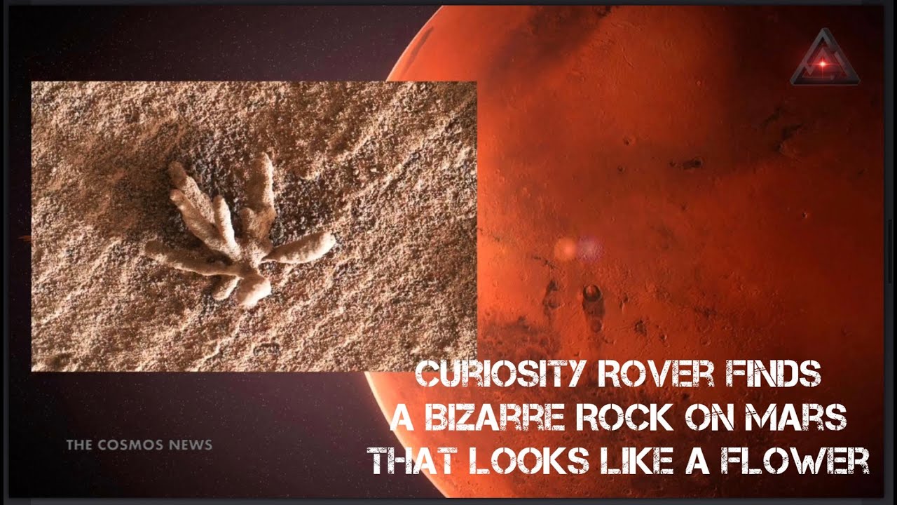 NASA's Curiosity Rover Finds a Bizarre Rock on Mars That Looks Like a (Coral)Flower 
